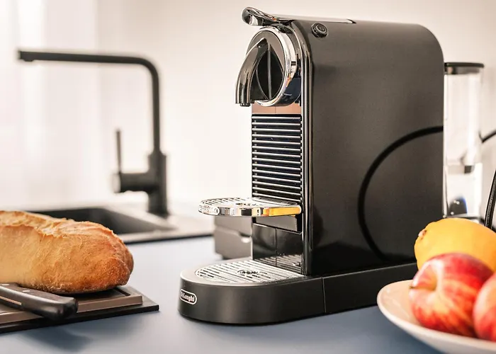 公寓式酒店 Motel42-temporary Living 腓特烈港